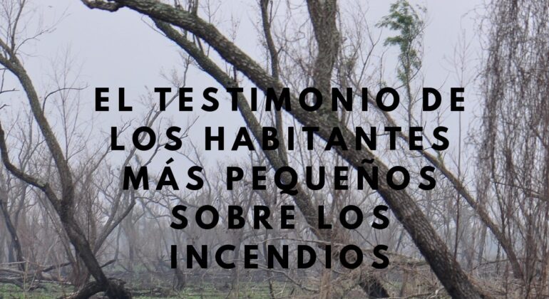 0772427e-6fd6-429c-a0f7-9f32a79c83a6_page-0001 (2)